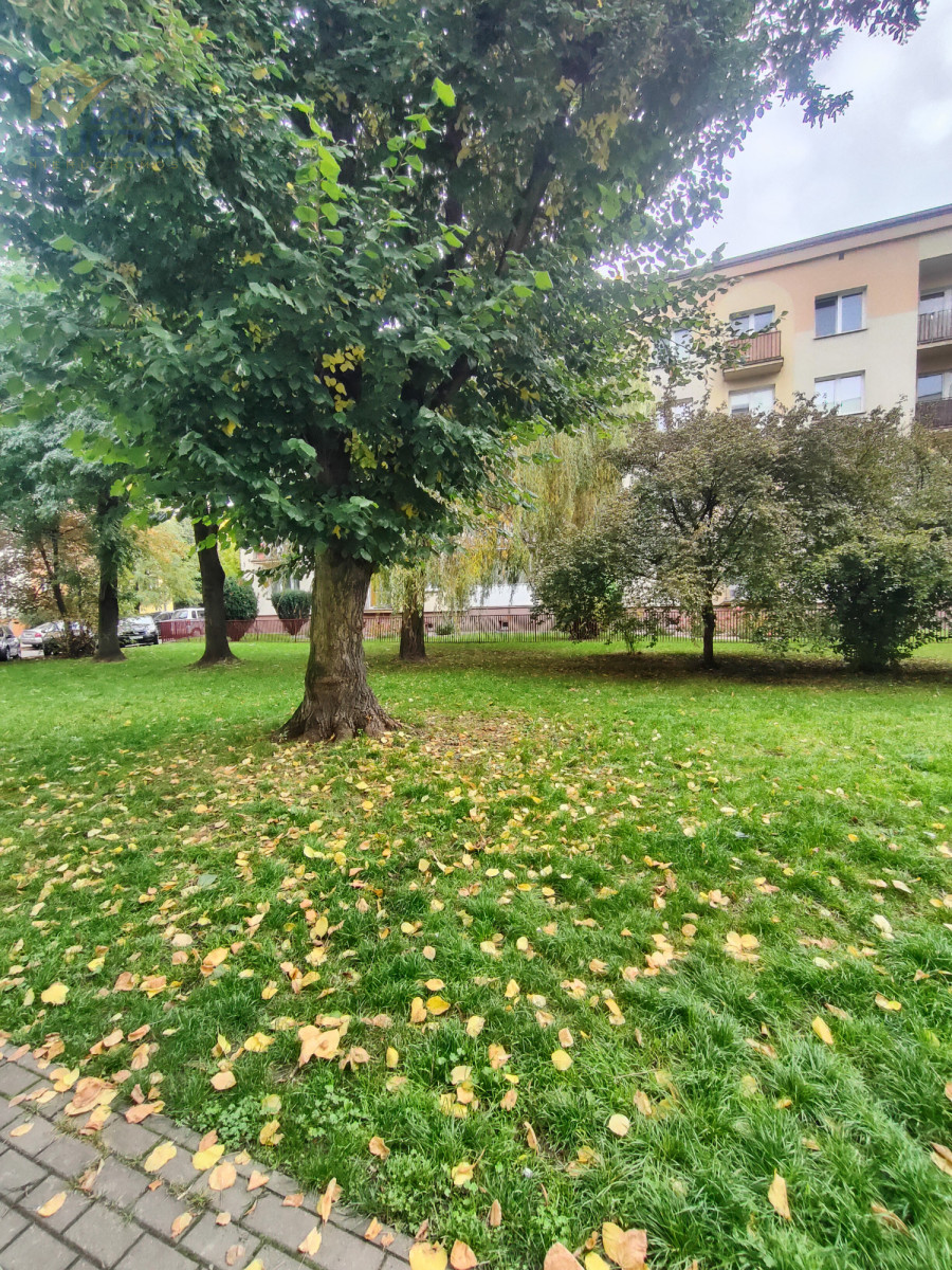 Mieszkanie na wynajem