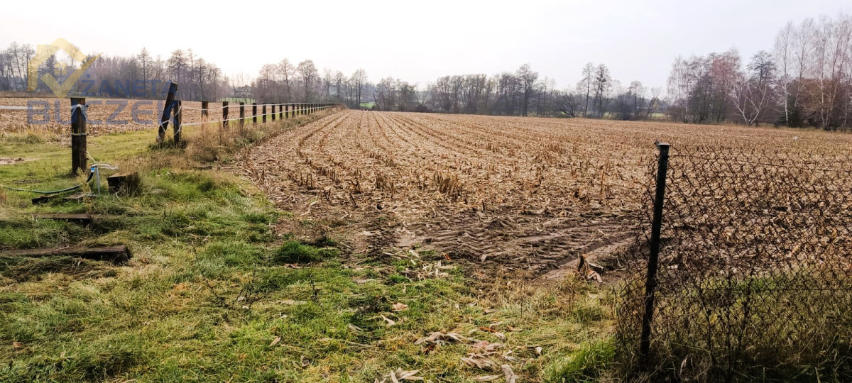 Działka na sprzedaż
