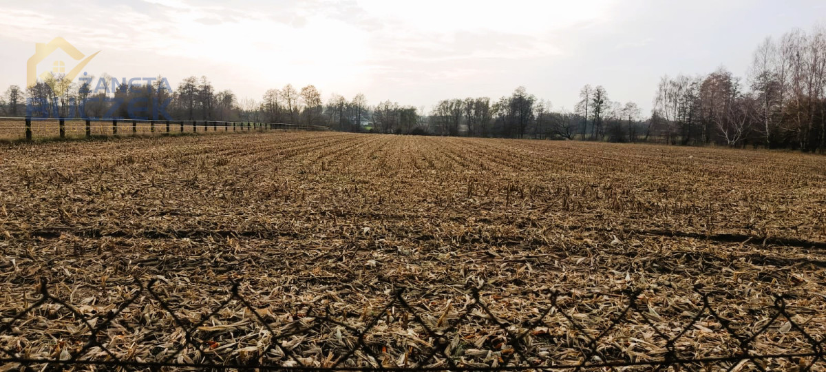 Działka na sprzedaż