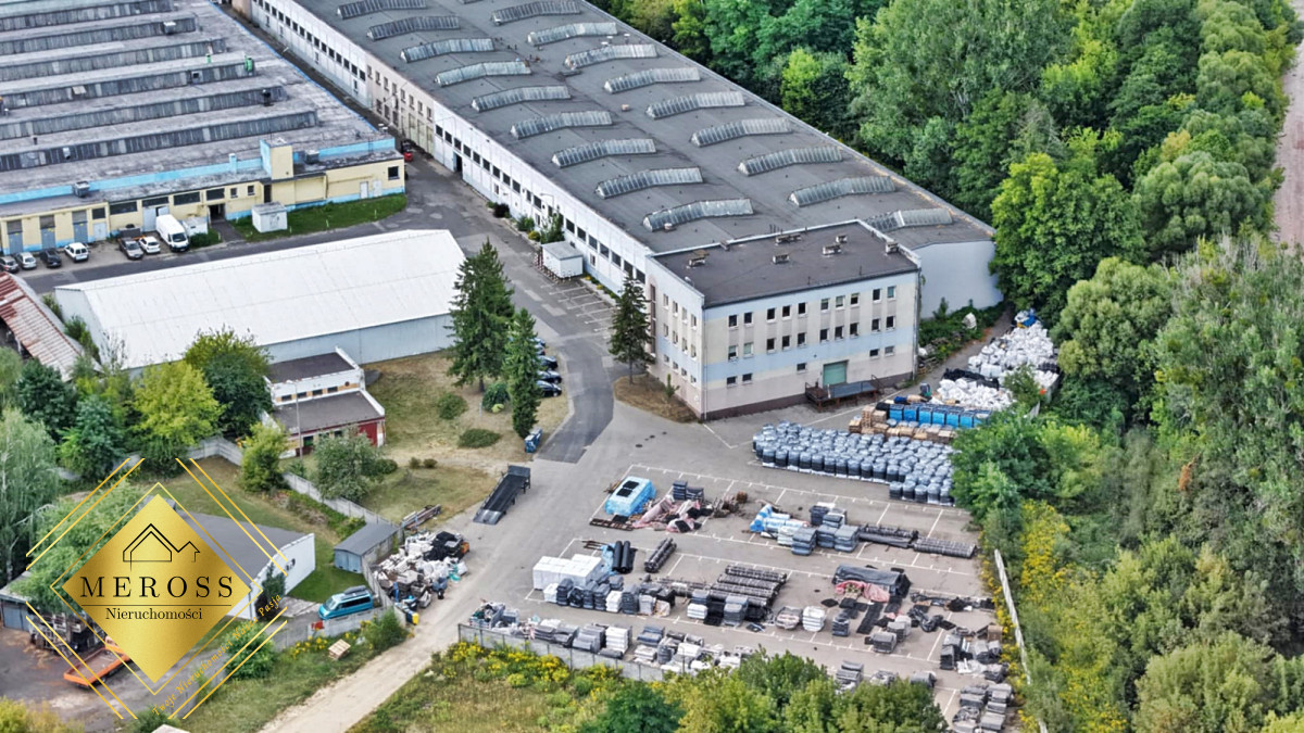 Komercyjny na wynajem