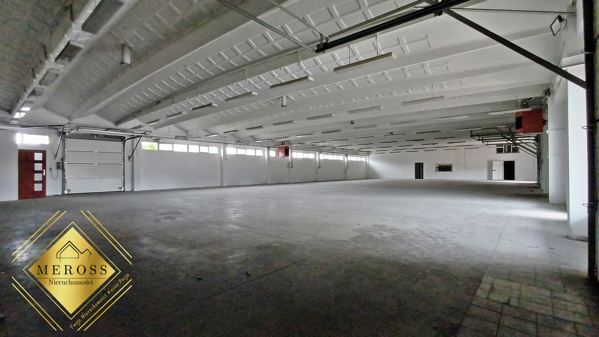 Komercyjny na wynajem