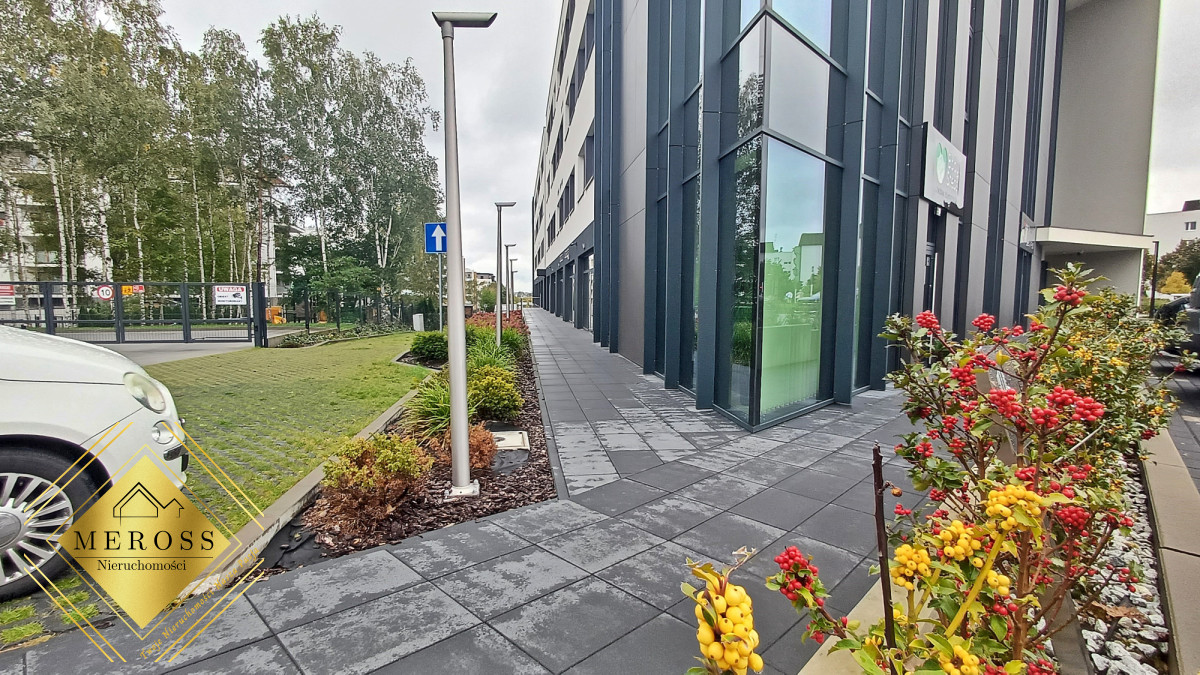 Komercyjny na wynajem