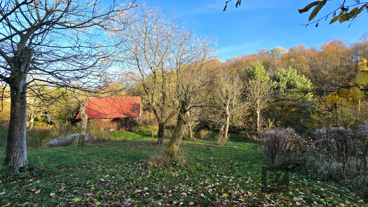 Siedlisko w Kameralnej miejscowości blisko Krakowa