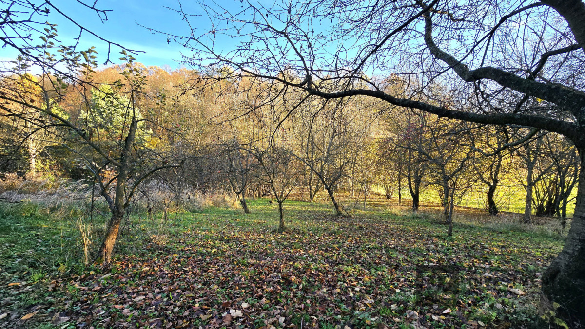 Siedlisko w Kameralnej miejscowości blisko Krakowa