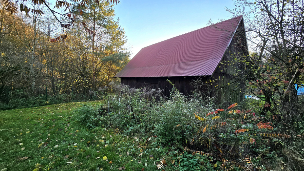 Siedlisko w Kameralnej miejscowości blisko Krakowa