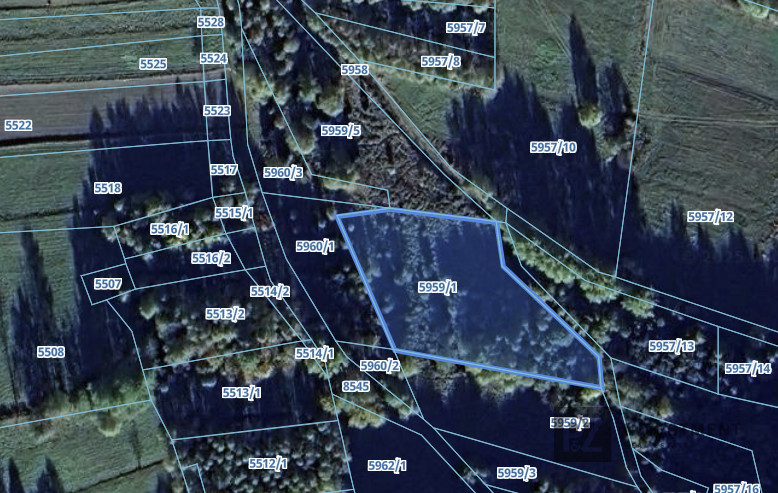 Działki rekreacyjne Bieńkówka