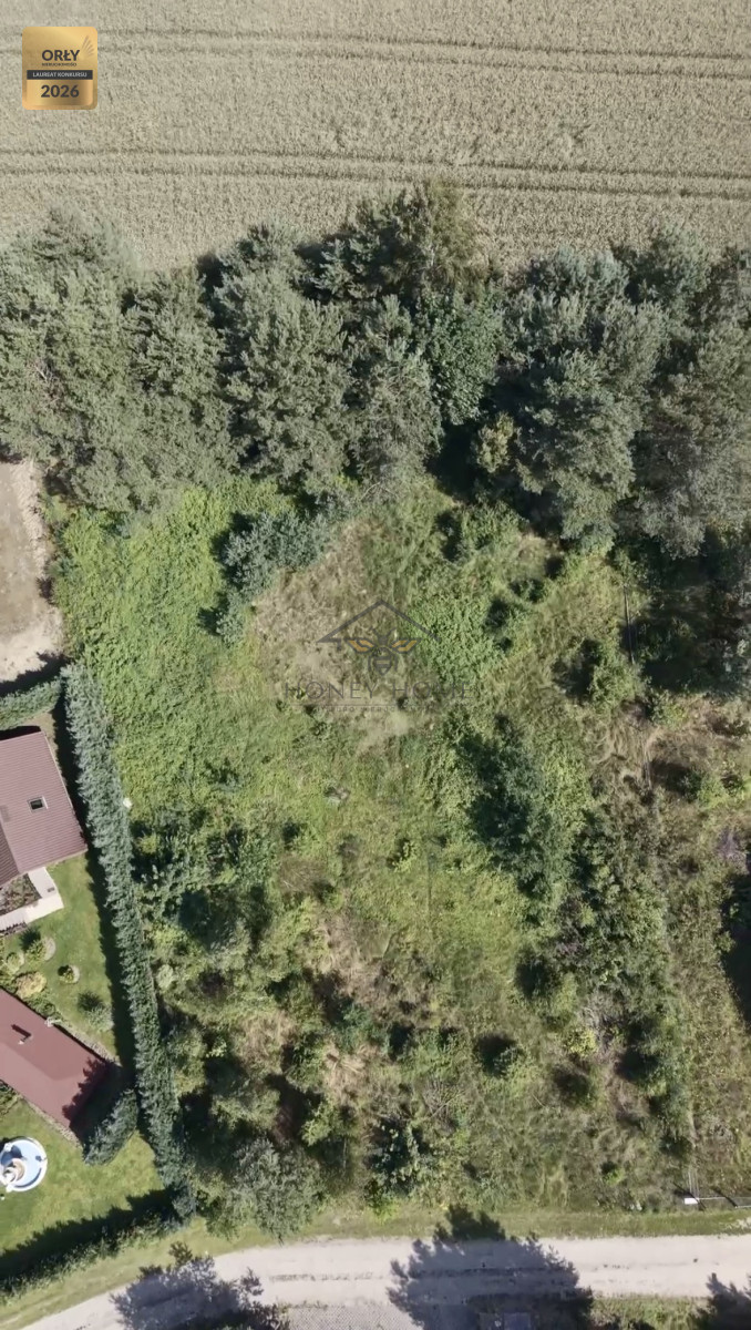 Urokliwa Obok Lasu 1 MIN Media MPZP Zaciszne Zales — zdjęcie 3